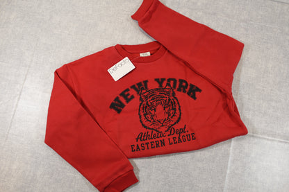 stylischer Pullover mit Tiger Motiv 146/152