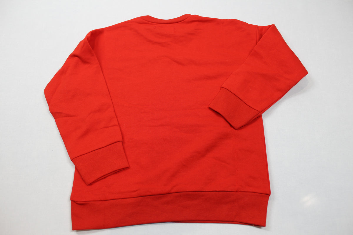 Roter Pulli Dino Jungs 116 Outlet
